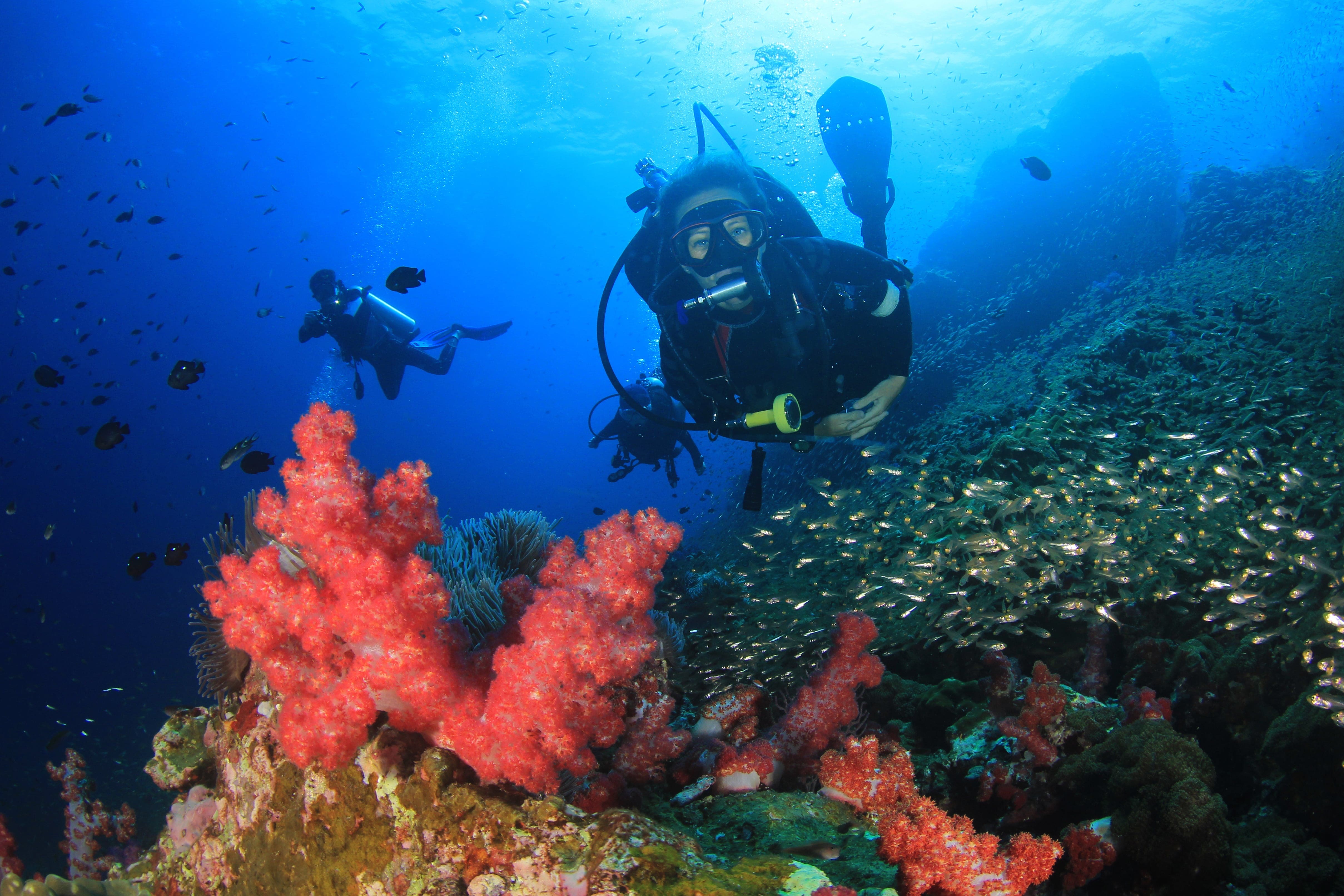 مركز غطاس المرجان الأزرق يفوز بجائزة بادي PADI الذهبية في أوروبا والشرق الأوسط وأفريقيا للتميز في التطوير المهني لعام 2024